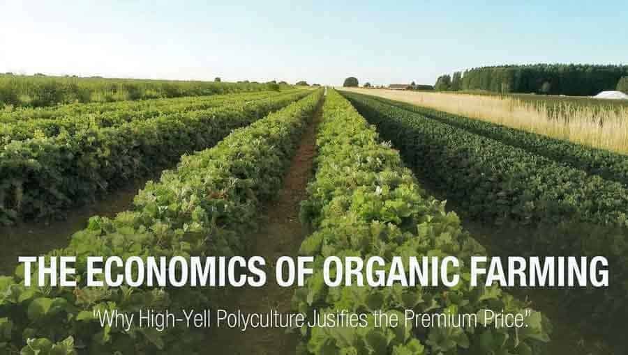 The Economics of Organic Farming: Why High-Yield Polyculture Justifies the Premium Price