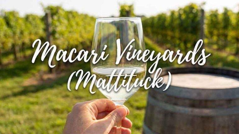 Macari Vineyards — 150 Bergen Avenue, Mattituck, NY 11952