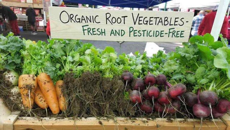 The Pesticide Half-Life: Why Organic Root Vegetables Should Be Your First Priority