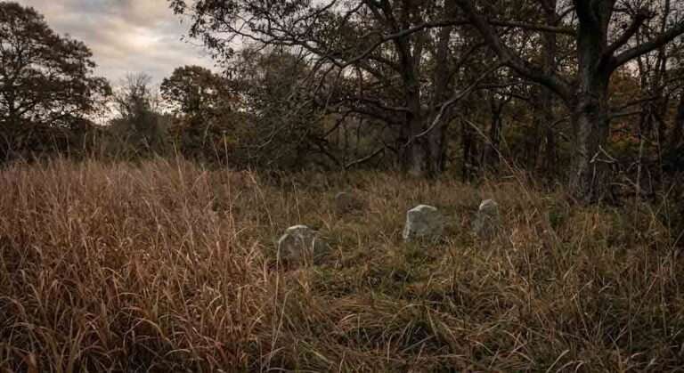 The Setauket Slave Cemetery: Why Most North Shore Towns Won’t Acknowledge the Graveyards They Built Subdivisions Over