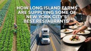 How Long Island Farms Are Supplying Some of New York City’s Best Restaurants