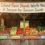 Long Island Farm Stands Worth the Drive: A Season‑by‑Season Guide
