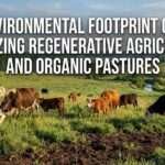 The Environmental Footprint of Beef: Analyzing Regenerative Agriculture and Organic Pastures