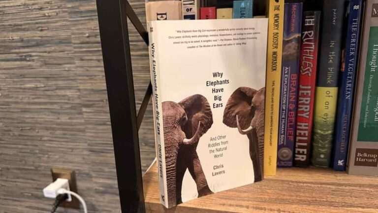 Why Elephants Have Big Ears by Chris Lavers — When Nature’s Apparent Waste Turns Out to Be Genius