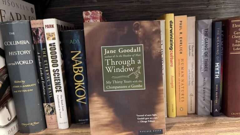 Through a Window: My Thirty Years with the Chimpanzees of Gombe by Jane Goodall — A Review