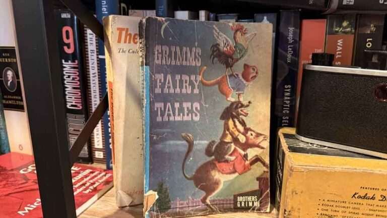 Grimm’s Fairy Tales — Stories That Survived Because They Had To