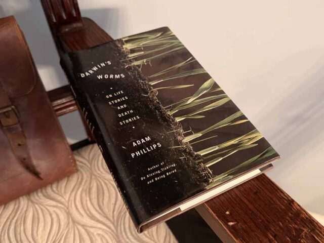 Darwin’s Worms by Adam Phillips — The Grandeur of Going Slow