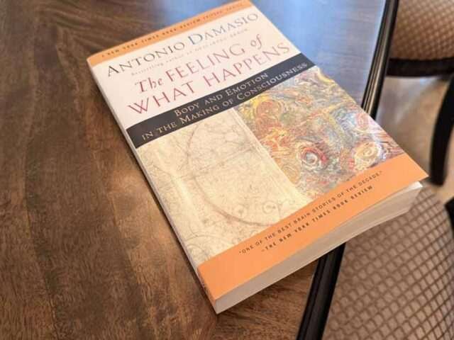 The Feeling of What Happens by Antonio Damasio — A Review