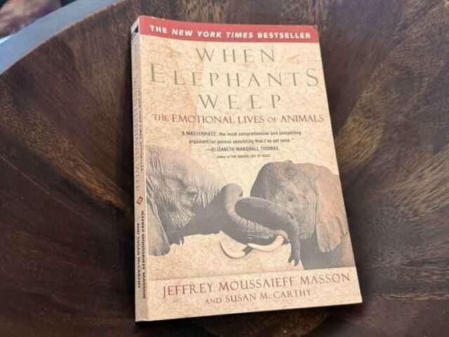 When Elephants Weep by Jeffrey Masson — Darwin Never Finished the Sentence