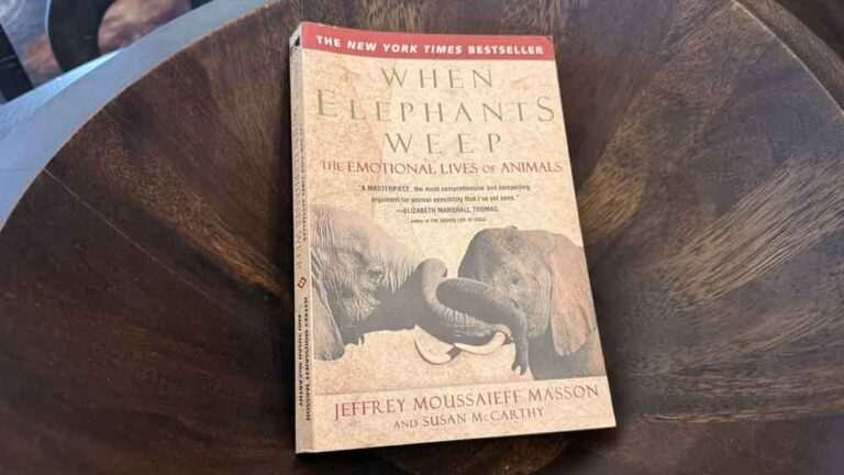 When Elephants Weep by Jeffrey Masson — Darwin Never Finished the Sentence